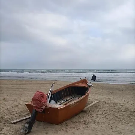 Le Dune E Il Gabbiano