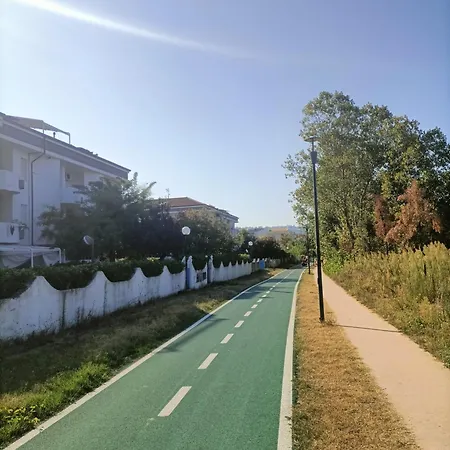 Le Dune E Il Gabbiano *