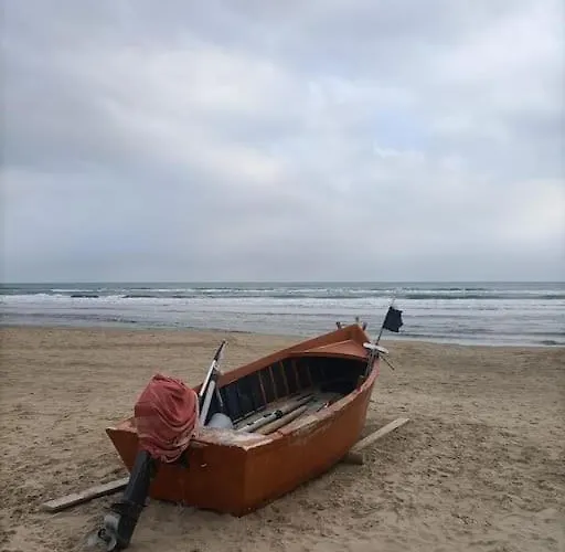 Le Dune E Il Gabbiano