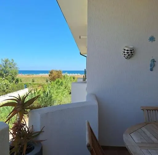 Le Dune E Il Gabbiano Vasto