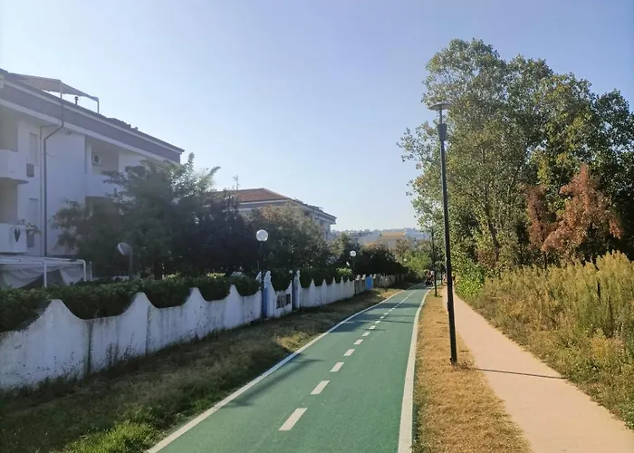 Le Dune E Il Gabbiano *