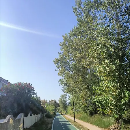 Le Dune E Il Gabbiano Apartmán Vasto