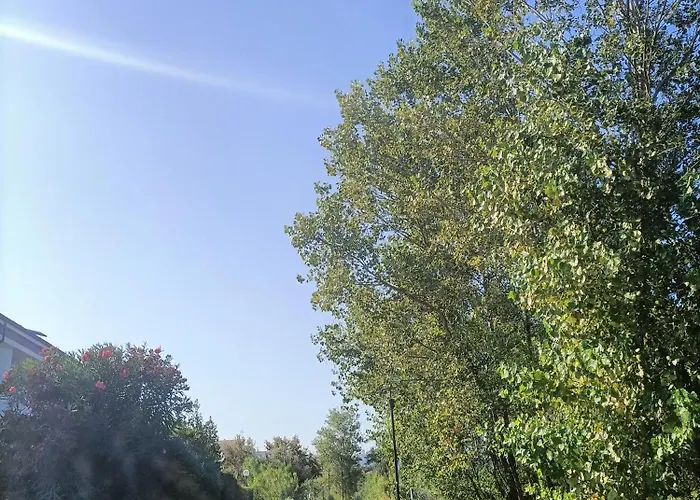 Le Dune E Il Gabbiano Apartament Vasto